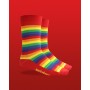 Mid Calf Rainbow Socks