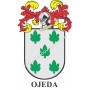 Llavero heráldico - OJEDA - Personalizado con apellido, escudo de la familia y breve descripción del origen genealógico.