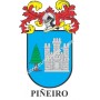 Llavero heráldico - PIÑEIRO - Personalizado con apellido, escudo de la familia y breve descripción del origen genealógico.