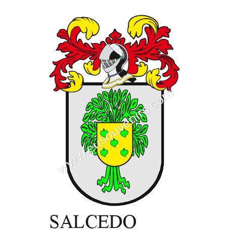 Heraldic keychain - SALCEDO - Personalized with surname, family crest and brief description of the genealogical origin.