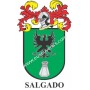 Heraldic keychain - SALGADO - Personalized with surname, family crest and brief description of the genealogical origin.