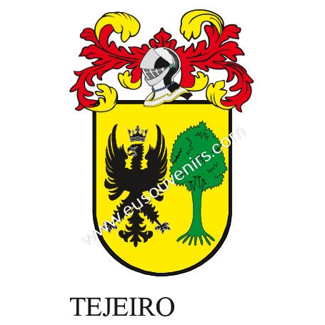 Heraldic keychain - TEJEIRO - Personalized with surname, family crest and brief description of the genealogical origin.