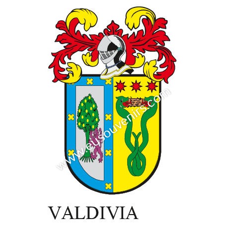 Porte-clés héraldique - VALDIVIA - Personnalisé avec le nom, l'écusson de la famille et une brève description de l'origine généa